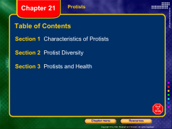 Protists
