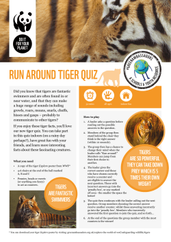 tiger quiz
