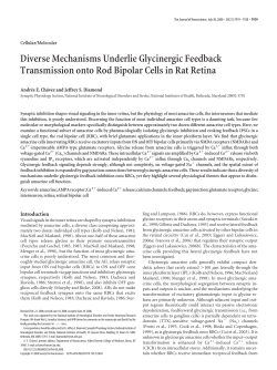 Diverse Mechanisms Underlie Glycinergic Feedback Transmission