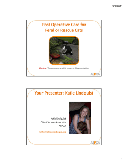 Post Operative Care for Feral or Rescue Cats Your Presenter: Katie