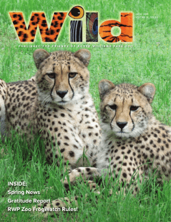 Here - Roger Williams Park Zoo