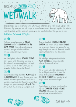 our Wet Weather leaflet
