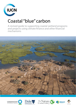 Coastal “blue” carbon - Conservation Gateway