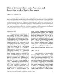 Effect of Enrichment Items on the Aggression and Competition