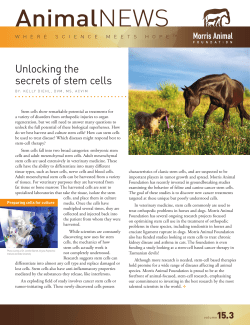 Unlocking the secrets of stem cells