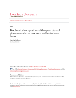 Biochemical composition of the spermatozoal plasma membrane in