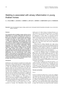 Stabling is associated with airway inflammation in young Arabian