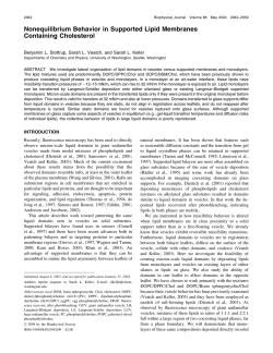 Nonequilibrium Behavior in Supported Lipid Membranes Containing