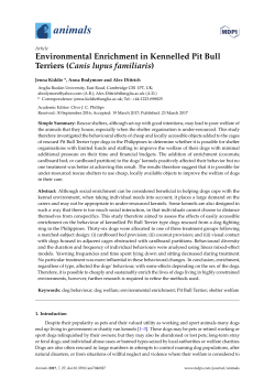 Full-Text PDF