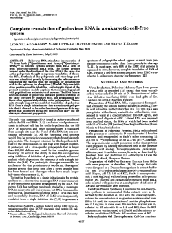 Complete translation of poliovirus RNA in a eukaryotic cell