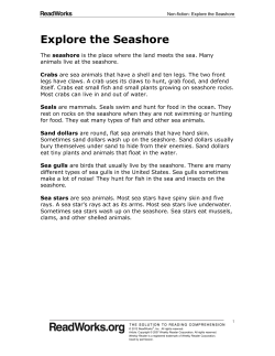 Explore the Seashore - Covington Independent Public Schools