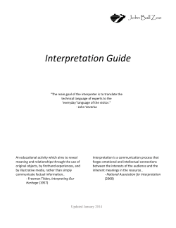 Interpretation Guide
