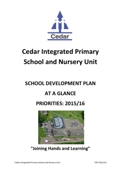 School Development Plan - Overview 2015/16