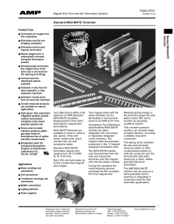 magnet wire terminals and termination systems