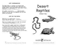 Desert Reptiles Answer Key