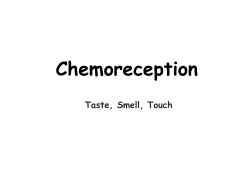 Chemoreception