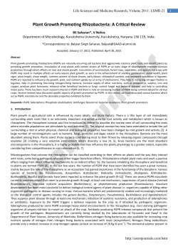 Plant Growth Promoting Rhizobacteria: A Critical