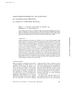 immunohistochemical localization of contractile proteins in limulus