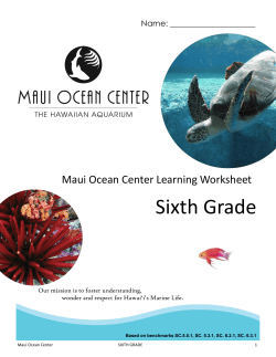 Sixth Grade - Maui Ocean Center