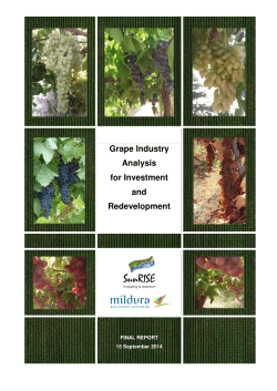 Grape Industry Analysis - SunRISE Mapping and Research