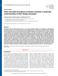 Plant cell walls throughout evolution: towards a molecular