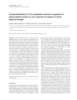 Stomatal limitation to CO2 assimilation and down