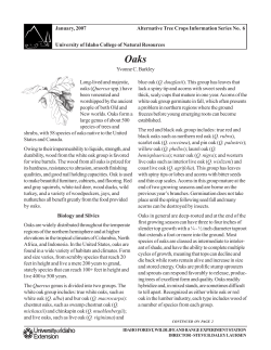 Oaks - University of Idaho