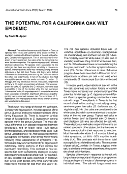 the potential for a california oak wilt epidemic