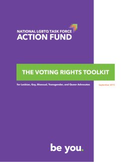 The Voting Rights Toolkit for LGBTQ Advocates
