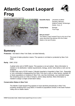 NYNHP Conservation Guide for Atlantic Coast Leopard Frog