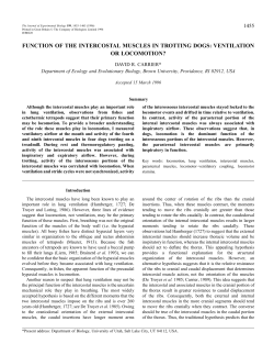 function of the intercostal muscles in trotting dogs: ventilation or