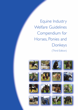 Equine Industry Welfare Guidelines Compendium
