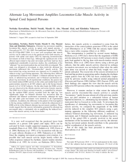 Alternate Leg Movement Amplifies Locomotor