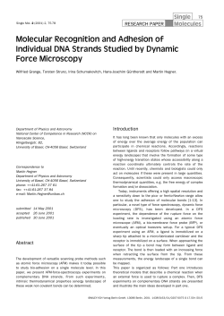 Molecular Recognition and Adhesion of Individual DNA Strands