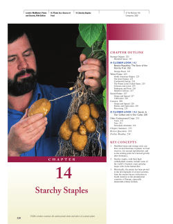 Starchy Staples