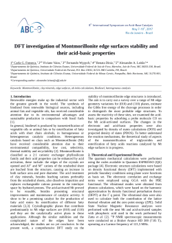 ID 119: DFT investigation of Montmorillonite edge surfaces stability