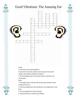 The Amazing Ear Crossword Puzzle Answer Key