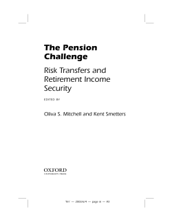 The Role of Company Stock in Defined Contribution Plans