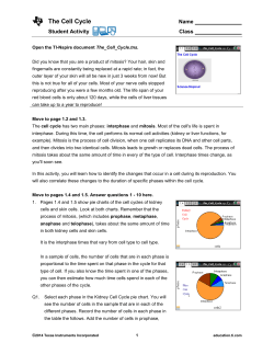 Summary of lesson - TI Education