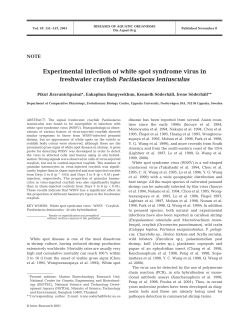 Experimental infection of white spot syndrome virus in freshwater