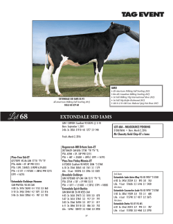 added lots - The Bullvine