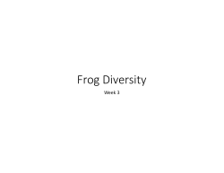 Frog diversity