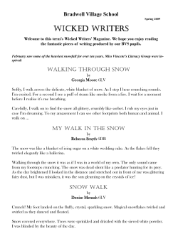 Spring 2009 - Bradwell Village School