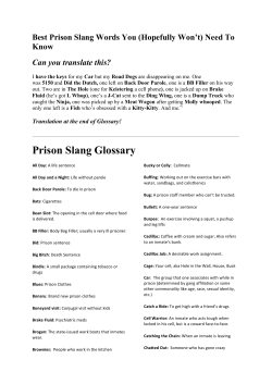 Best Prison Slang Words You Sol