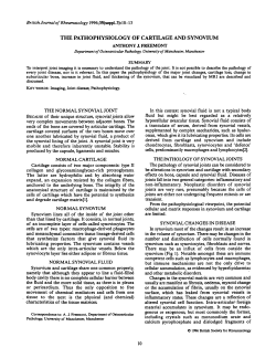 THE PATHOPHYSIOLOGY OF CARTILAGE AND SYNOVIUM