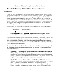 Induction of Enzyme Activity in Bacteria:The Lac Operon
