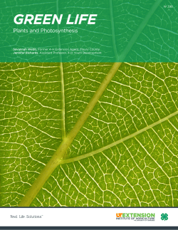green life - University of Tennessee Extension