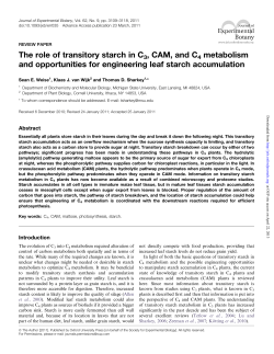 The role of transitory starch in C3, CAM, and C4 metabolism
