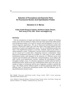 Selection of Fluorophore and Quencher Pairs