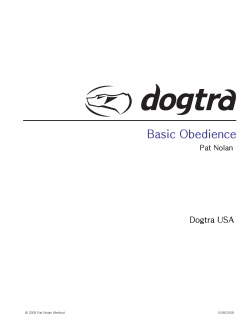 Basic Obedience